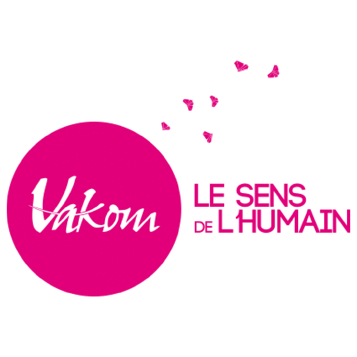 vakom-TAS CCI - Tirage au sort